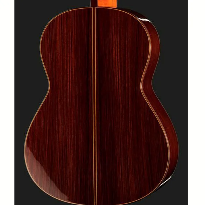Ramirez Tradicional 1A w. case