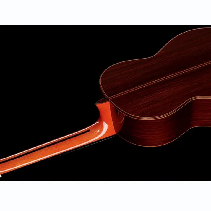 Ramirez Tradicional 1A w. case