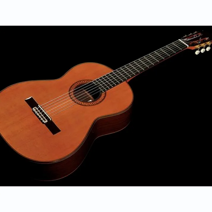 Ramirez Tradicional 1A w. case