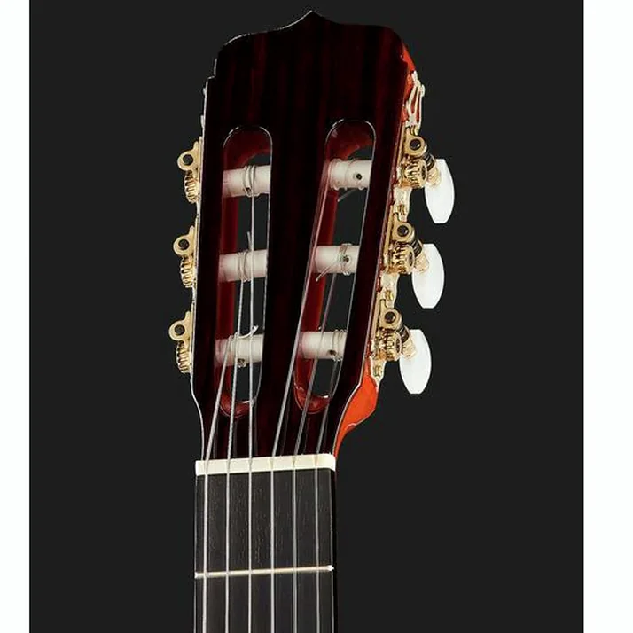 Ramirez Estudio Flamenco Palosanto