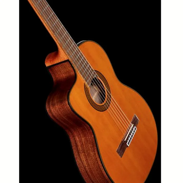 Takamine GC5CE-N-LH