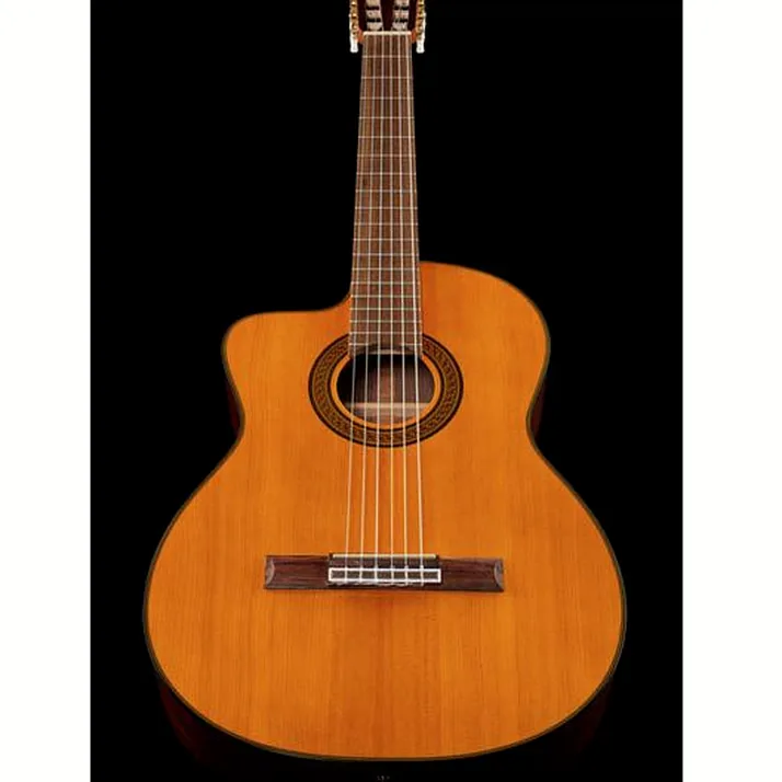 Takamine GC5CE-N-LH