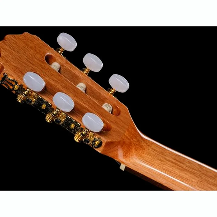 Takamine GC6CE-Nat