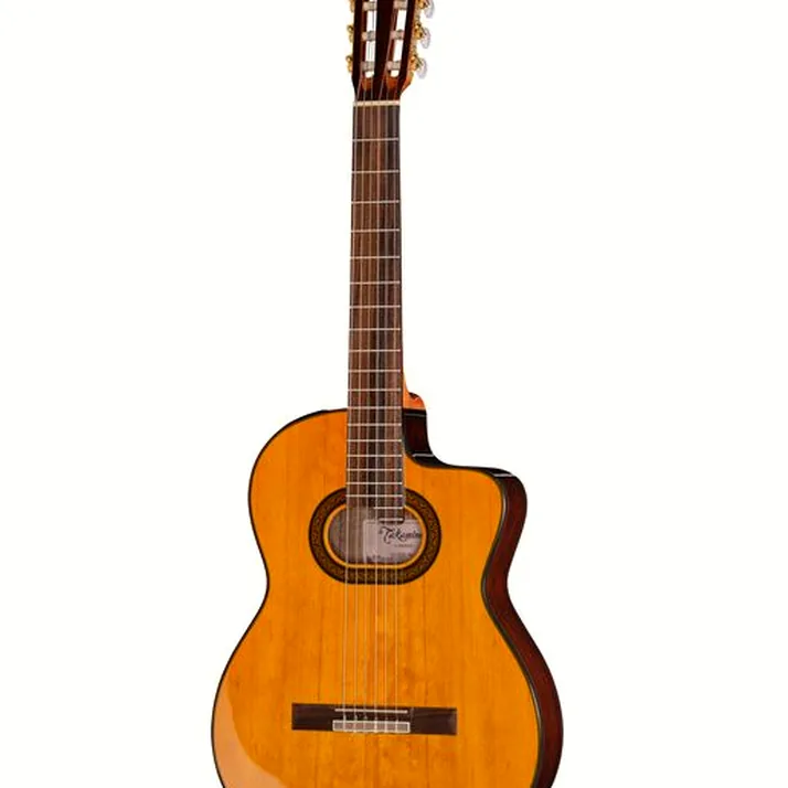 Takamine GC6CE-Nat