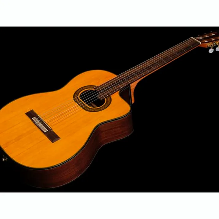 Takamine GC6CE-Nat