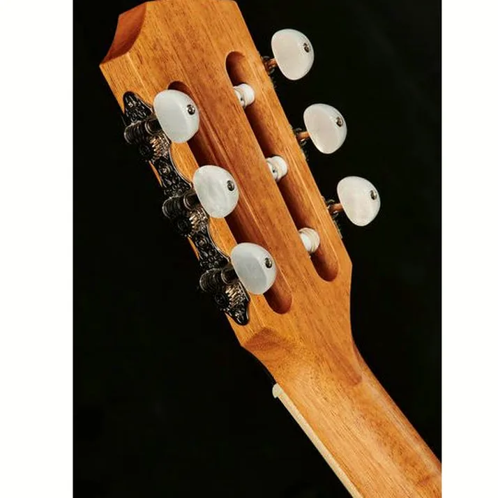 Taylor 814ce-N