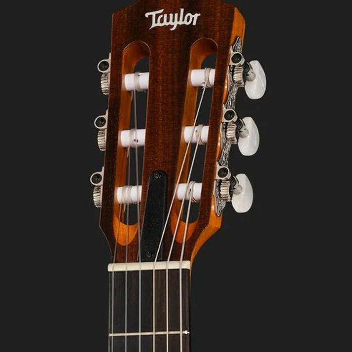Taylor Academy 12e-N LH