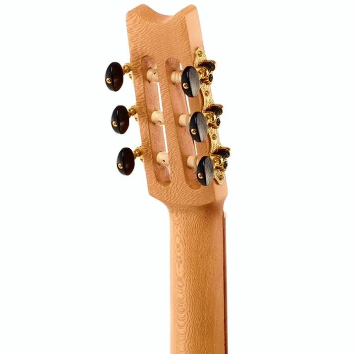 Thomann Lute Guitar