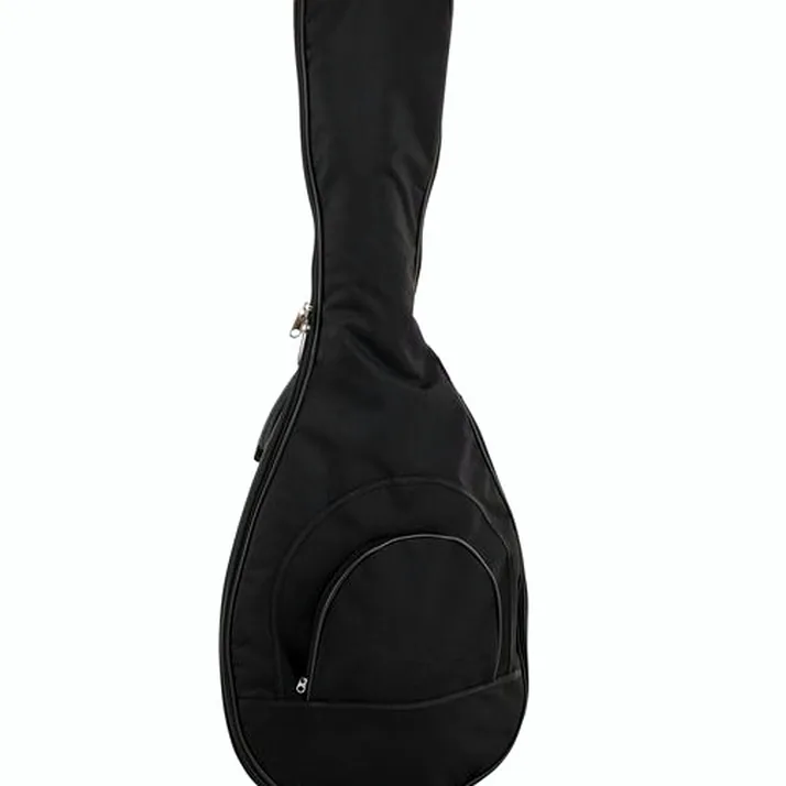 Thomann Lute Guitar