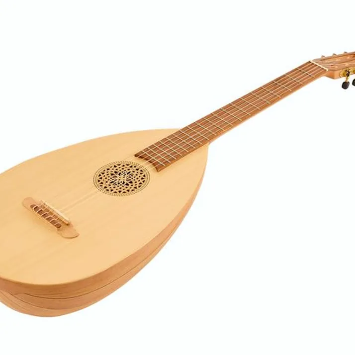 Thomann Lute Guitar
