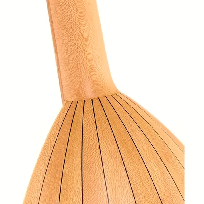Thomann Lute Guitar