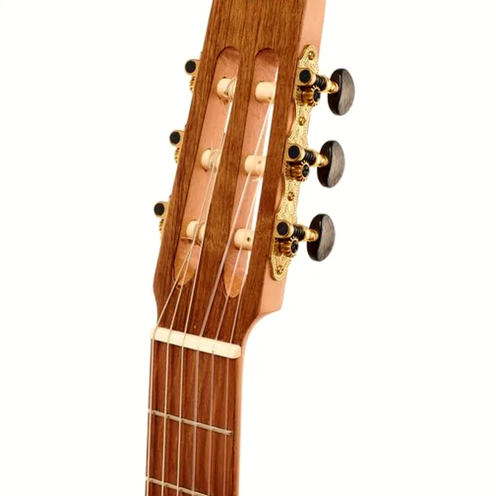 Thomann Lute Guitar