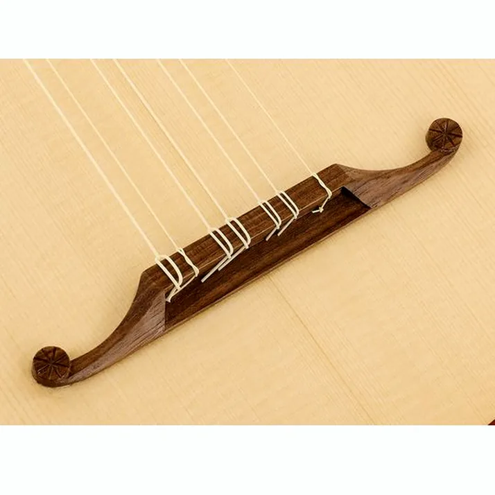 Thomann Pro Renaissance Guitar Plum