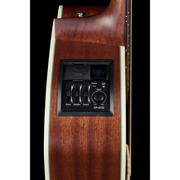 Takamine GD20CE-N