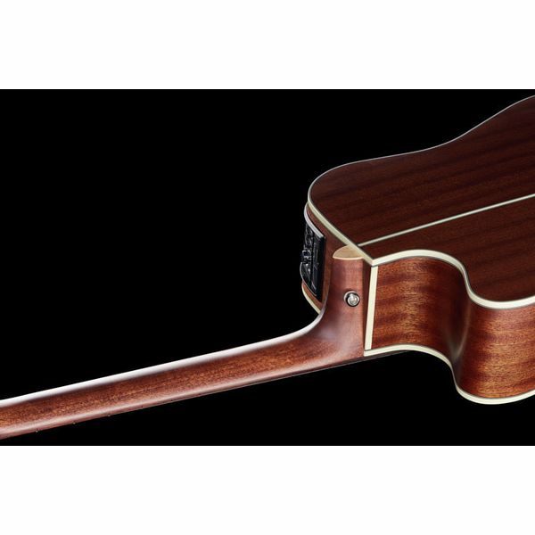 Takamine GD20CE-N