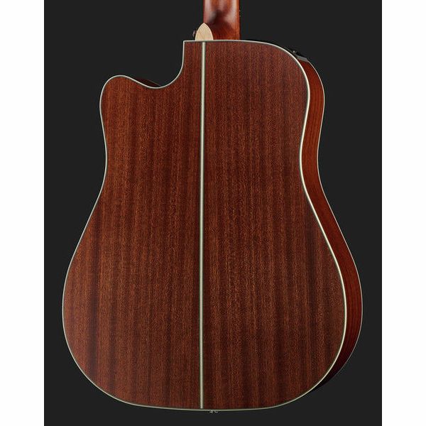 Takamine GD20CE-N