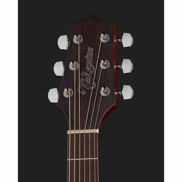 Takamine GD20CE-N