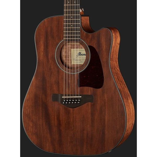 Ibanez AW5412CE-OPN Artwood
