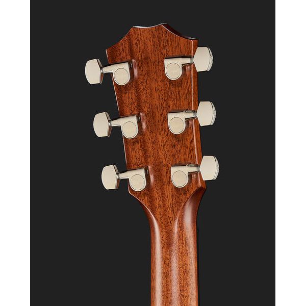 Taylor 317e V-Class