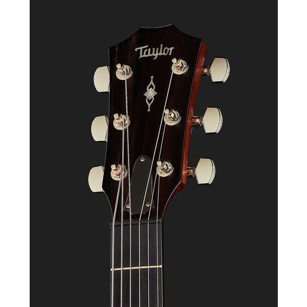 Taylor 317e V-Class