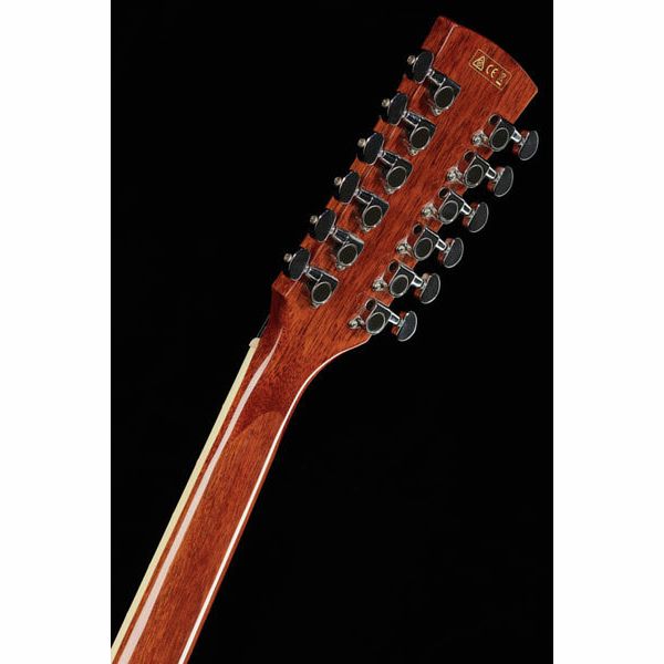 Ibanez PF1512ECE-NT
