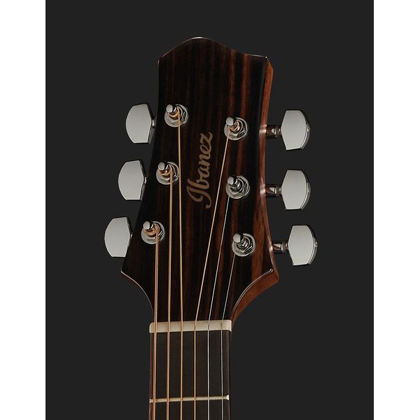 Ibanez JGM5-BSN