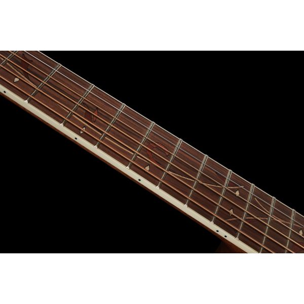 Ibanez AE245-NT