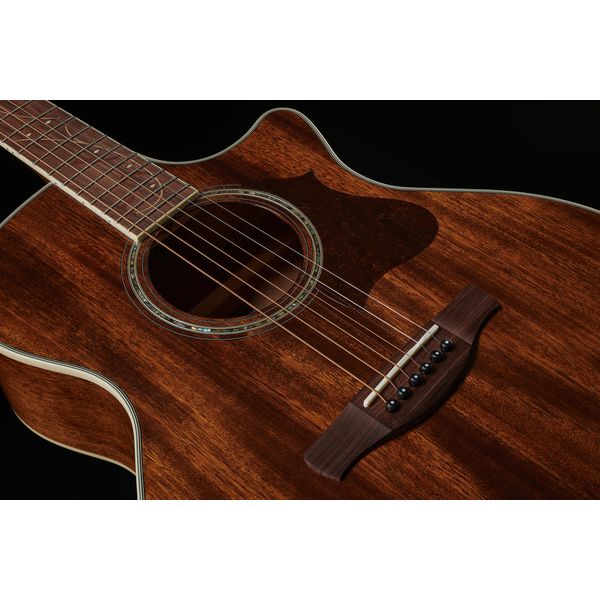 Ibanez AE245-NT