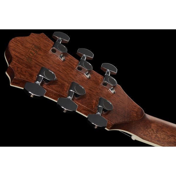 Ibanez AE245-NT