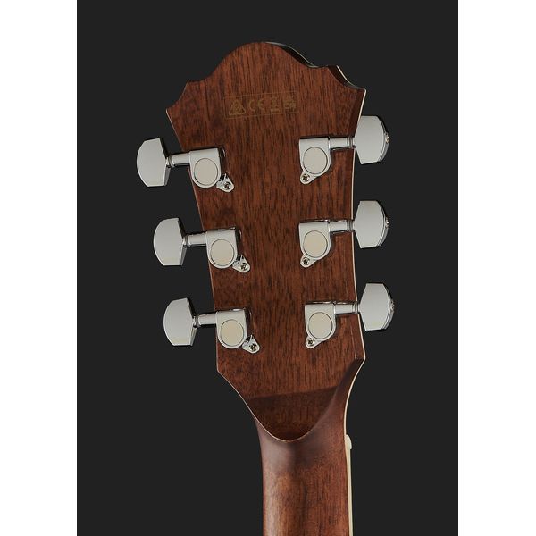 Ibanez AE245-NT