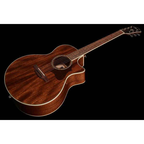 Ibanez AE245-NT