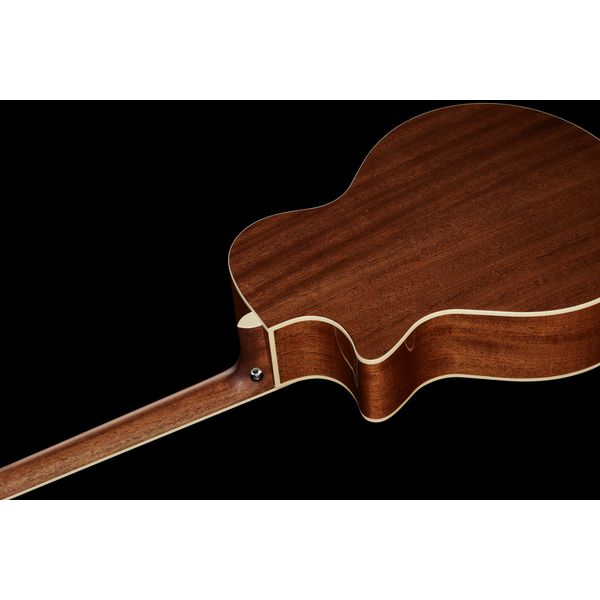 Ibanez AE245-NT
