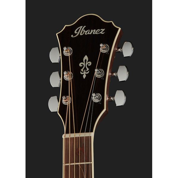 Ibanez AE245-NT