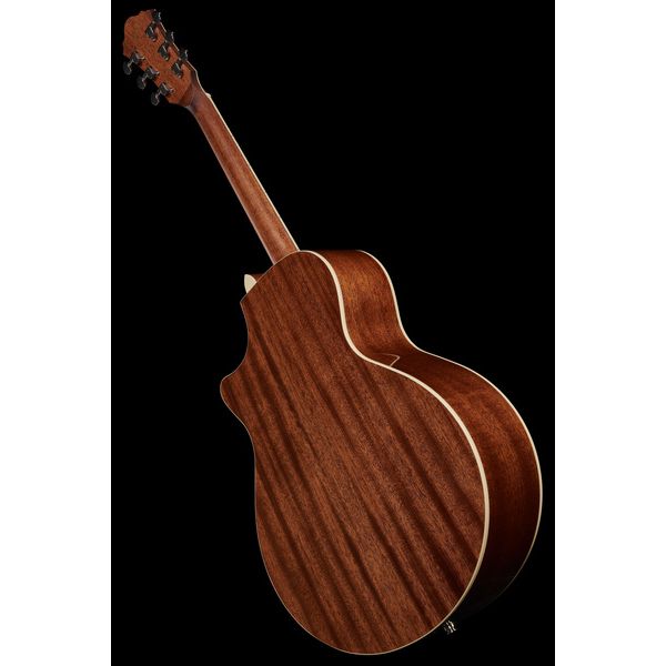 Ibanez AE245-NT