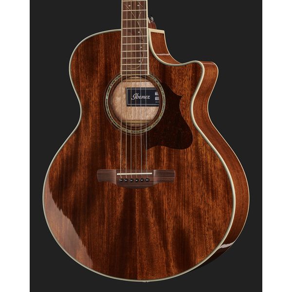 Ibanez AE245-NT