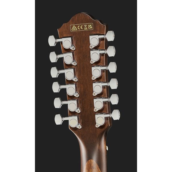 Ibanez AEG5012-BKH