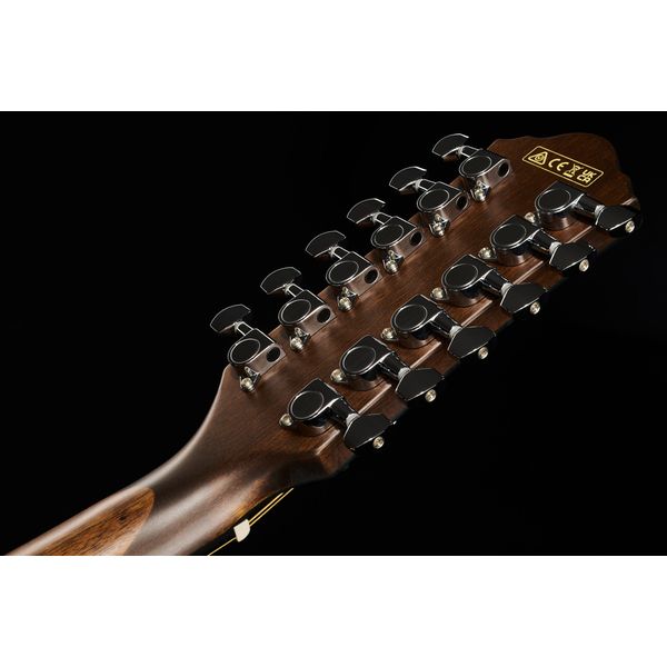 Ibanez AEG5012-BKH