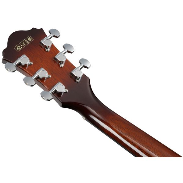 Ibanez AE160-VMS