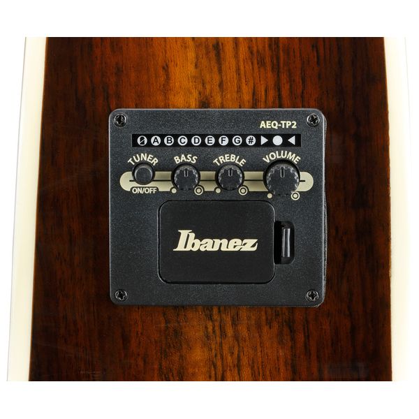 Ibanez AE160-VMS