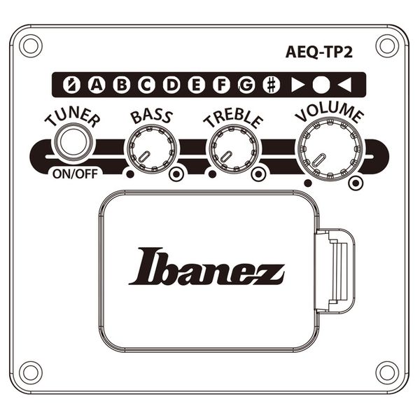 Ibanez AE160-VMS