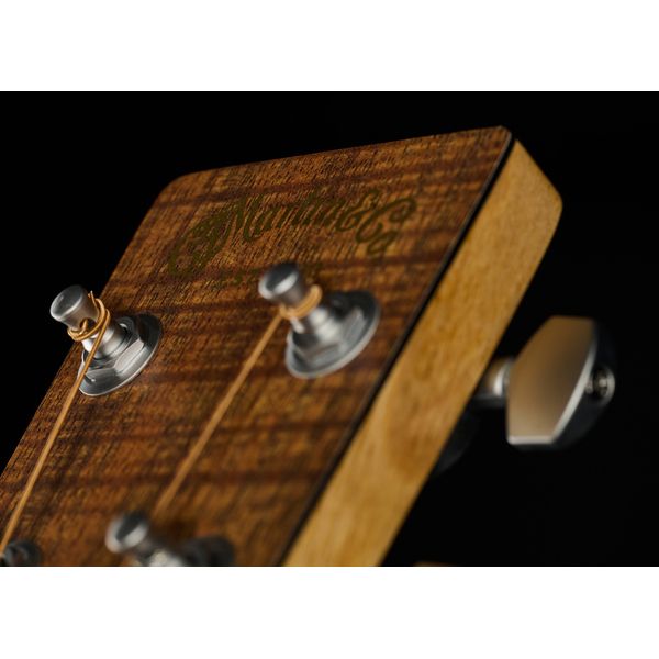 Martin Guitar DX1E Koa