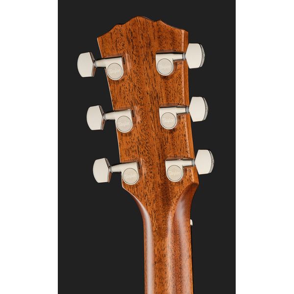 Taylor Gold Label 710e