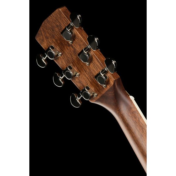 Cort Earth 100 NS w/Bag