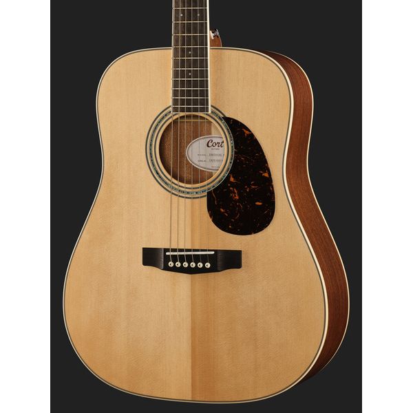 Cort Earth 100 NS w/Bag