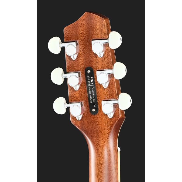 L.R.Baggs AEG 1 E- Acoustic Sunburst