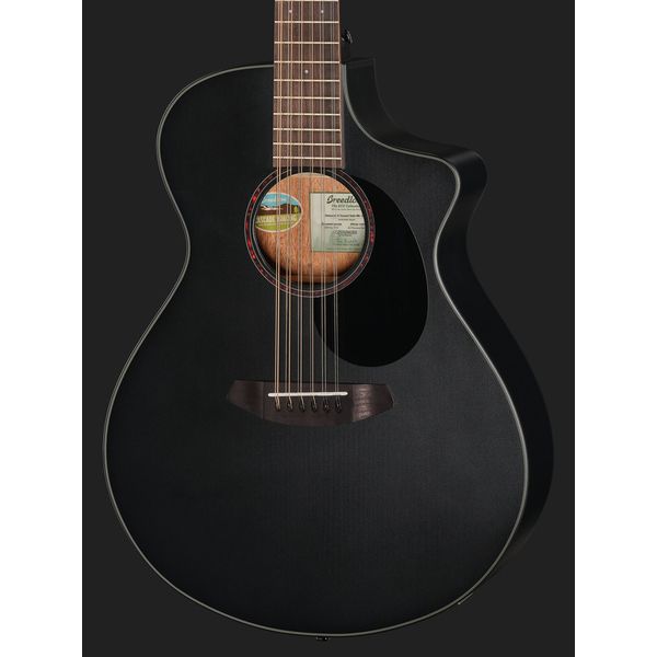 Breedlove Discovery S Conc 12-St CE BS