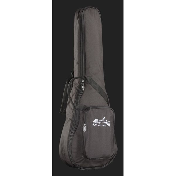 Martin Guitar LX1E