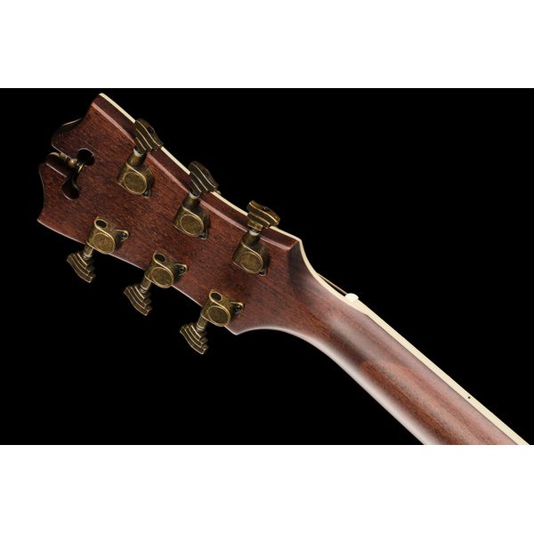 DAngelico Premier Gramercy Aged Burst