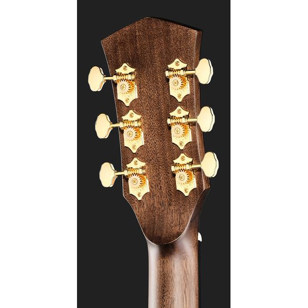 Cort Gold MC6 LB