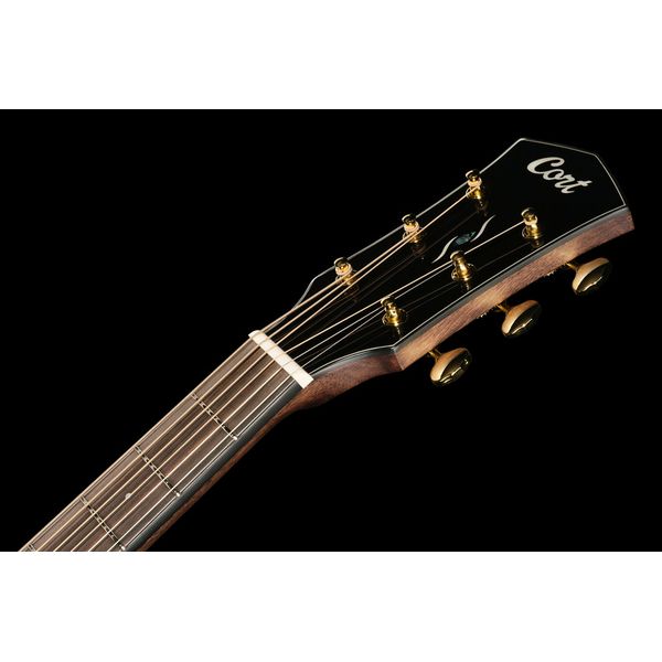 Cort Gold MC6 LB